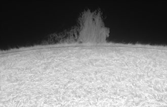 Oregon Sunstone from Sunstone Butte Mine